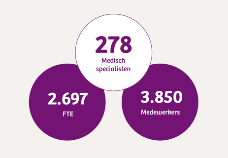 01-infographic-sociaal-2016.png