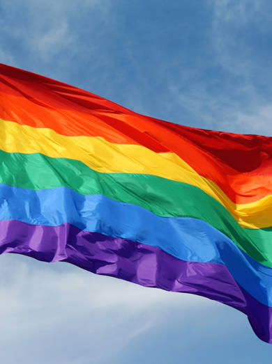 regenboog vlag.jpg