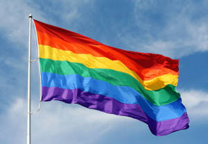 regenboog vlag.jpg
