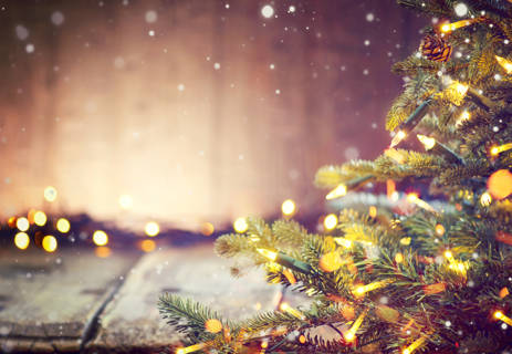 Shutterstock 519308944