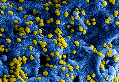Nieuw Coronavirus In China