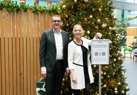 Kerstboom RVB (4 Van 4)