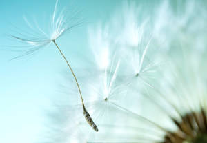 20231009 Uitsnede Foto Gedenkdag Shutterstock 282705149