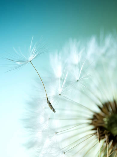20231009 Uitsnede Foto Gedenkdag Shutterstock 282705149