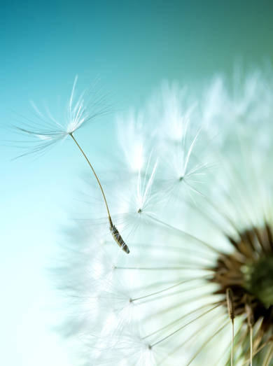 20231009 Uitsnede Foto Gedenkdag Shutterstock 282705149