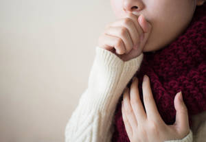 Shutterstock 1117577378