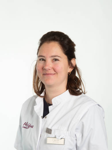 L. (Linda) Van Wyk