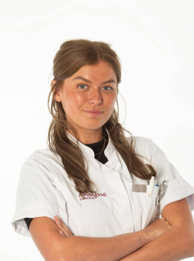 Isabelle Koster Plastische