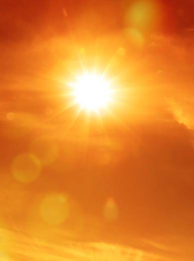 Shutterstock 2645184107